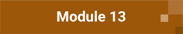 Module 13